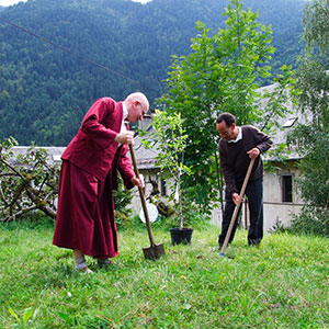 Denys-Rinpoche-Pierre-Rabhi-Oasis-Domaine-Avallon-Karma-Ling