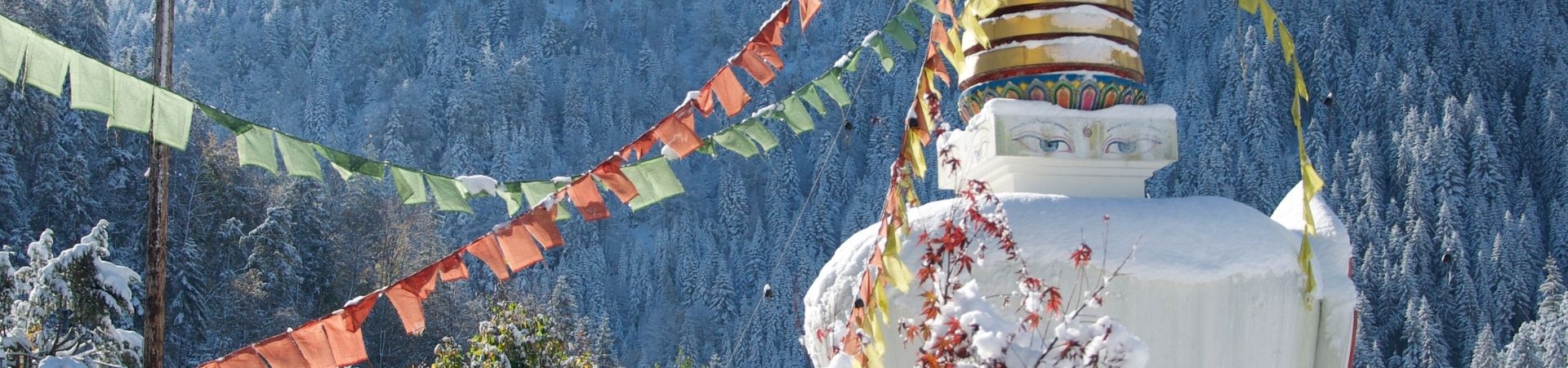 Stūpa enneigé de Nigu Karma Ling entouré de drapeaux de prières, forêt d'hiver