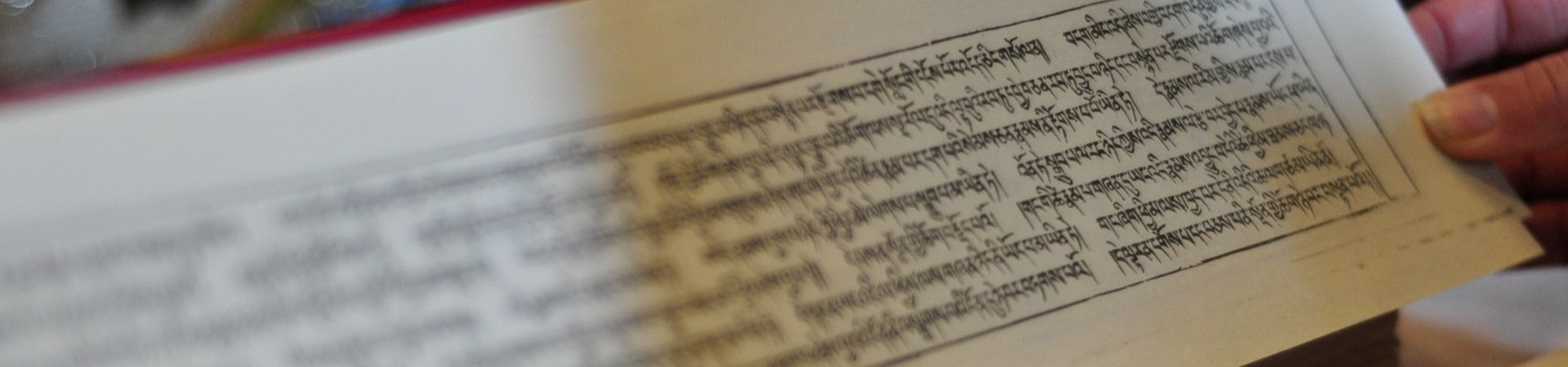 Pecha tibétain ouvert, texte de pratique du Dharma en écriture uchen tourné à la main lors des cours de tibétain de Shangpa Karma Ling